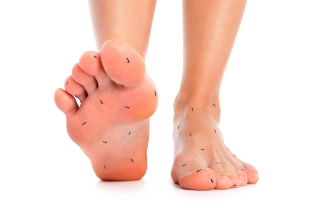 Peripheral Neuropathy Relief in Winter Park FL